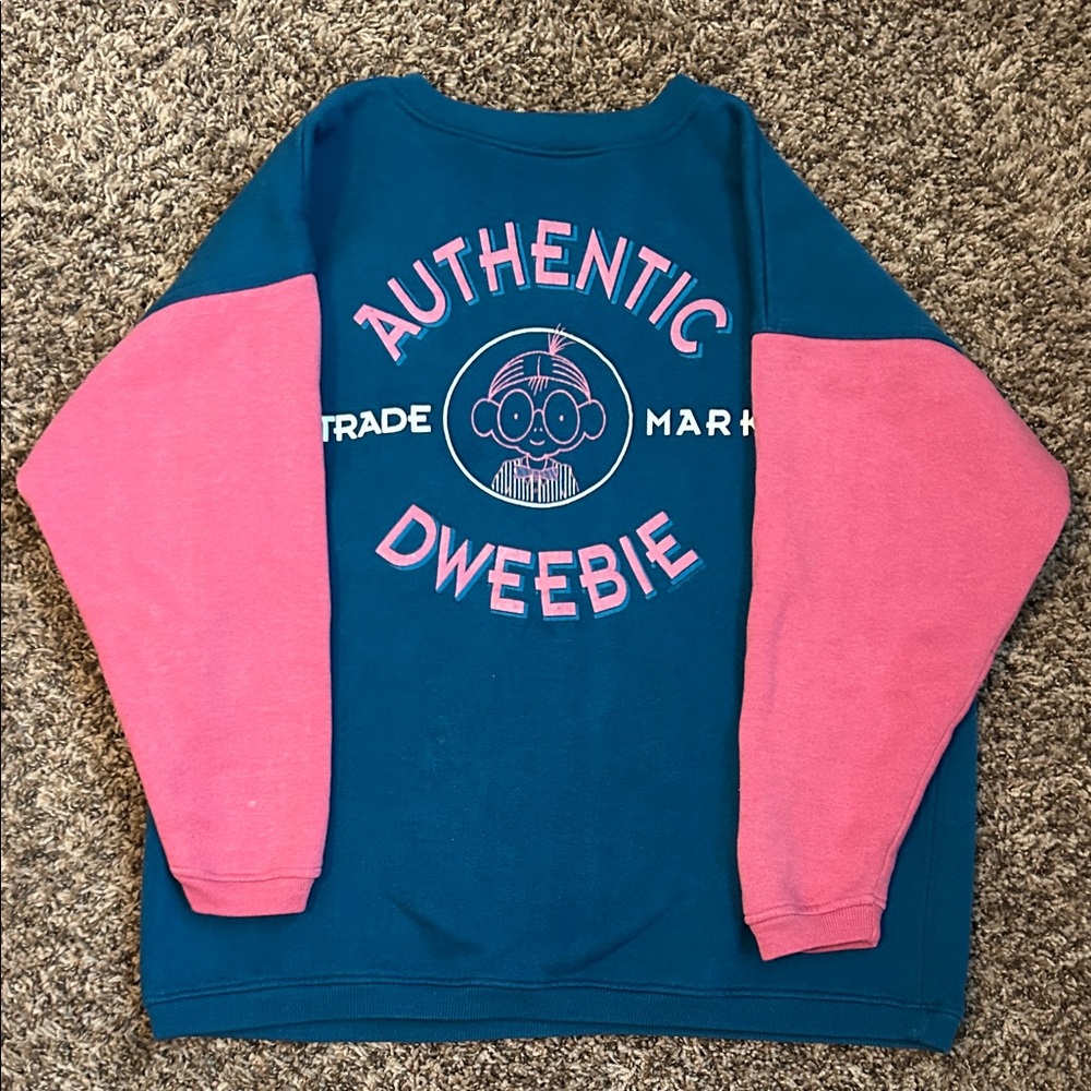 Authentic Dweebie Blue and Pink Sweater